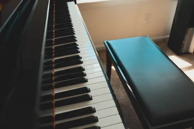 A piano and bench in a room.